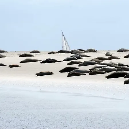 아파트 Borkumunterkunft - Woh4 - Im Herzen Der Insel 보르쿰